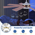 Dextrus 60 in Modern LED Outdoor/Indoor Ceiling Fan with Remote Control
