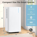 32 Pint Dehumidifier with 3.3FT Drain Hose, 24H Timer & 3 Color Indicator, 2000 sq ft Portable Dehumidifier for Basement, Bedroom, Bathroom